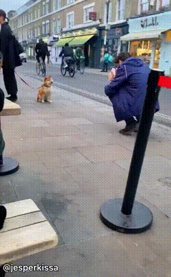 搞笑动图GIF：运动员此刻内心一万匹....
