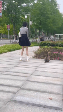 搞笑动图GIF：运动员此刻内心一万匹....