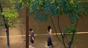 GIF大全：怨种姐妹情！