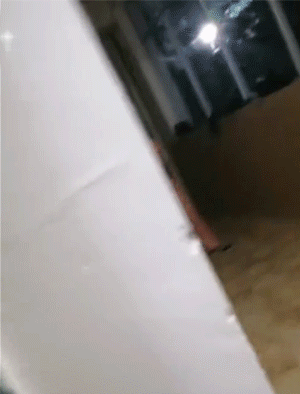 GIF大全：怨种姐妹情！