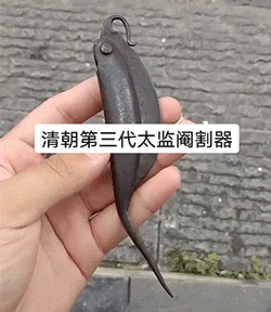 精彩动态图：不报警是不想上电视，结果