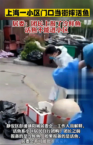 精彩动态图：不报警是不想上电视，结果