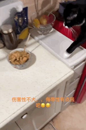 爆笑动态图：武林羔手打击鹅势力！