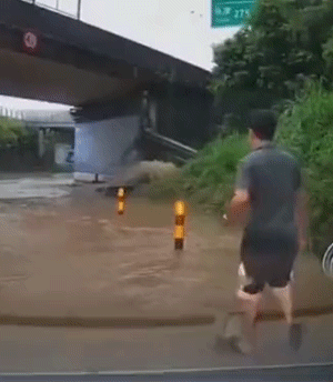 沙雕动图：沙雕登场，谁能憋住不笑！