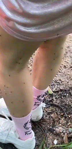 有趣的GIF：工资多少才能买得起这个？