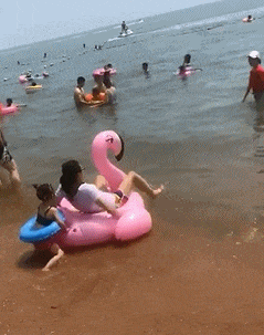 有趣的GIF：工资多少才能买得起这个？