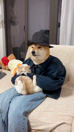 有趣的GIF：工资多少才能买得起这个？