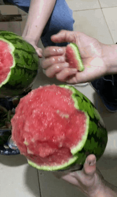 爆笑的动态图：《我是专业的》