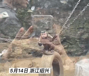 搞笑GIF动图：多少带点私人恩怨