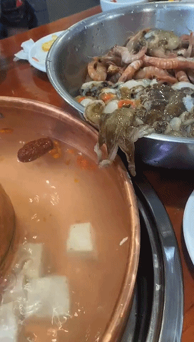 爆笑GIF：这以后分家了也方便，你一块我一块