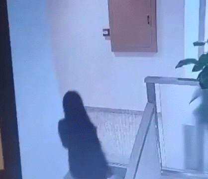 沙雕GIF集锦：看完，没有一个人不笑的！