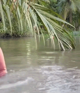 美女动图：野泳有危险，谨慎下河
