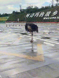 搞笑GIF图片：这孩子太关心妈妈了