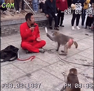 GIF集锦：能不能不要这么好笑！