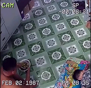 GIF集锦：能不能不要这么好笑！