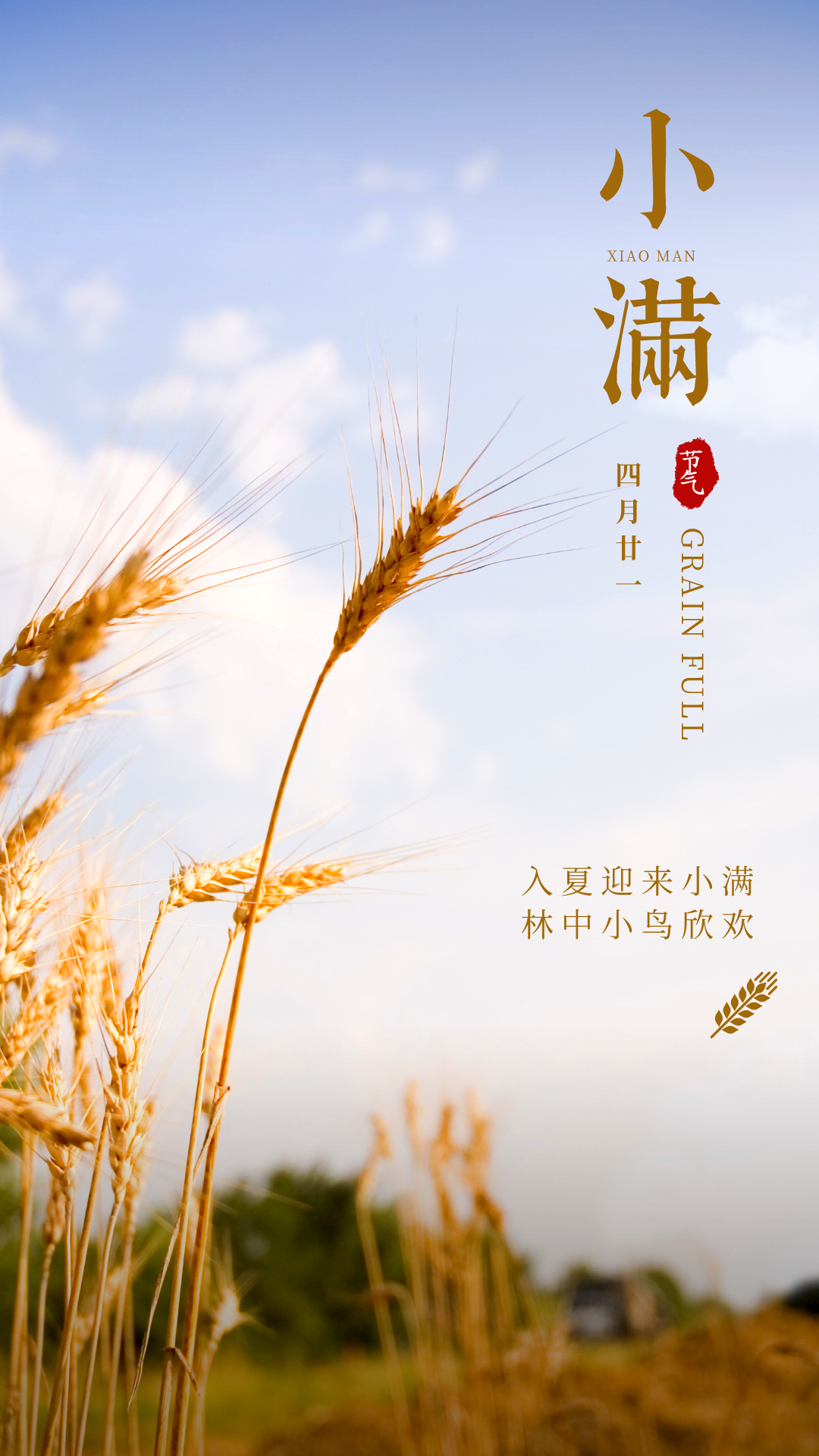 小满图片配图高清唯美大全，小满文案祝福语句子