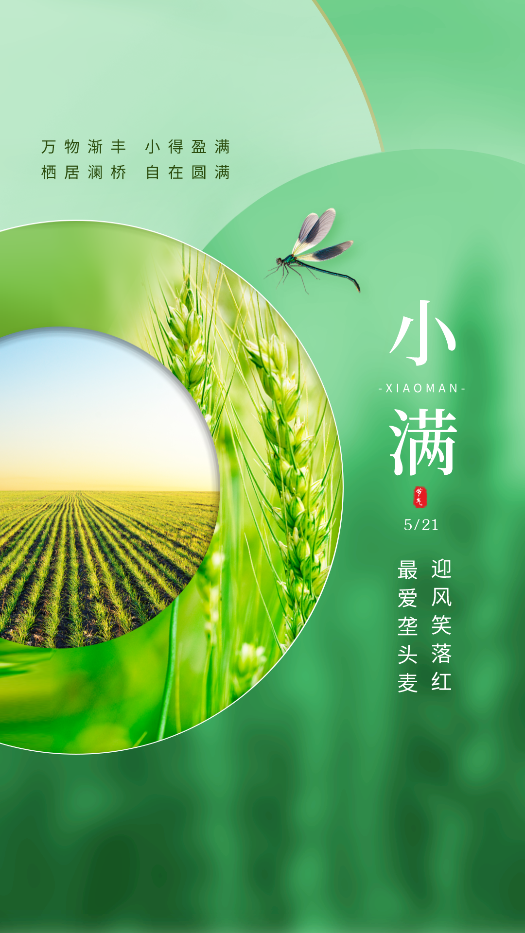 小满图片配图高清唯美大全，小满文案祝福语句子