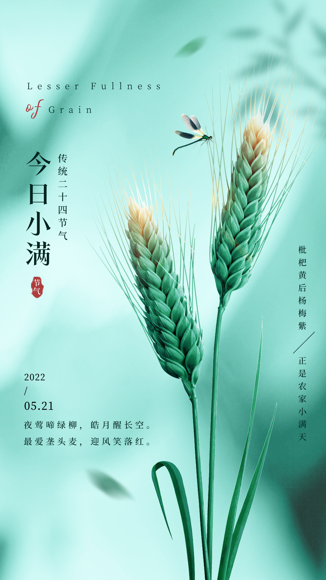 小满图片配图高清唯美大全，小满文案祝福语句子