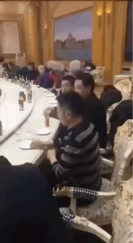 搞笑GIF：舔狗是没有未来的