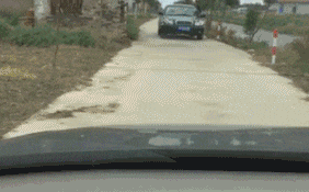 搞笑GIF：舔狗是没有未来的