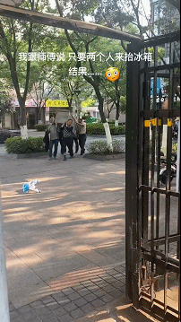 搞笑动图图片：我现在相信隆胸能挡子弹了