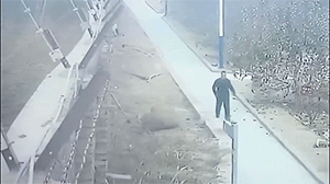 搞笑GIF：监控下的惊奇一幕幕！