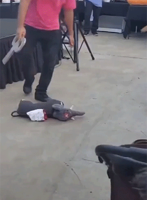 爆笑的GIF:想逃却逃不掉!哈哈哈!