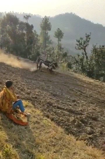 爆笑的GIF:想逃却逃不掉!哈哈哈!