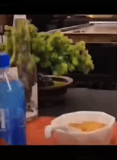 爆笑的GIF:想逃却逃不掉!哈哈哈!