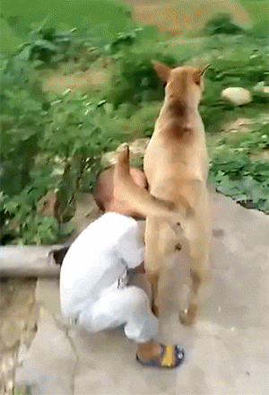 爆笑的GIF:想逃却逃不掉!哈哈哈!