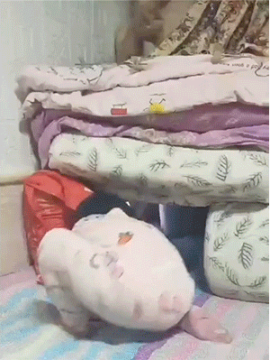 搞笑GIF：啊这……100%杀灭病毒！