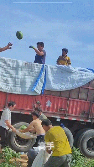 搞笑GIF：啊这……100%杀灭病毒！