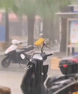 搞笑GIF：啊这……100%杀灭病毒！