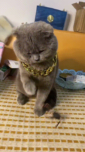 有趣的GIF:双卡双待,无缝切换~