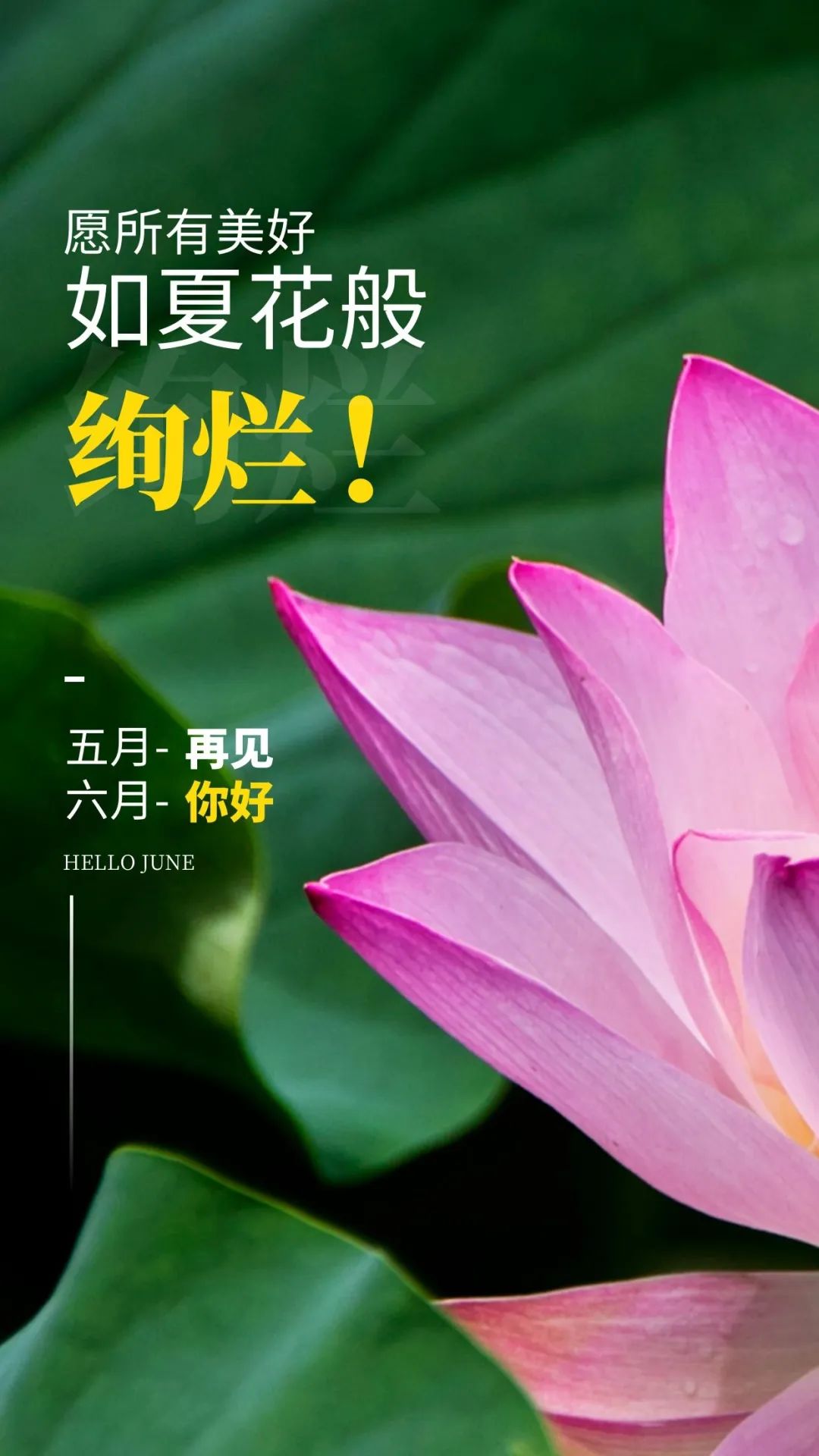 6月你好图片配图高清唯美简单带字，六月朋友圈抖音文案短句语录