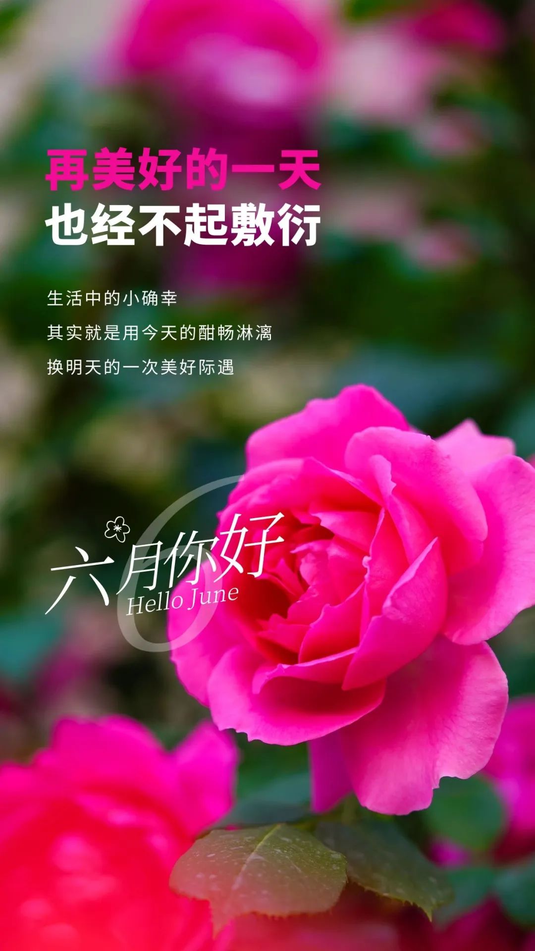 6月你好图片配图高清唯美简单带字，六月朋友圈抖音文案短句语录