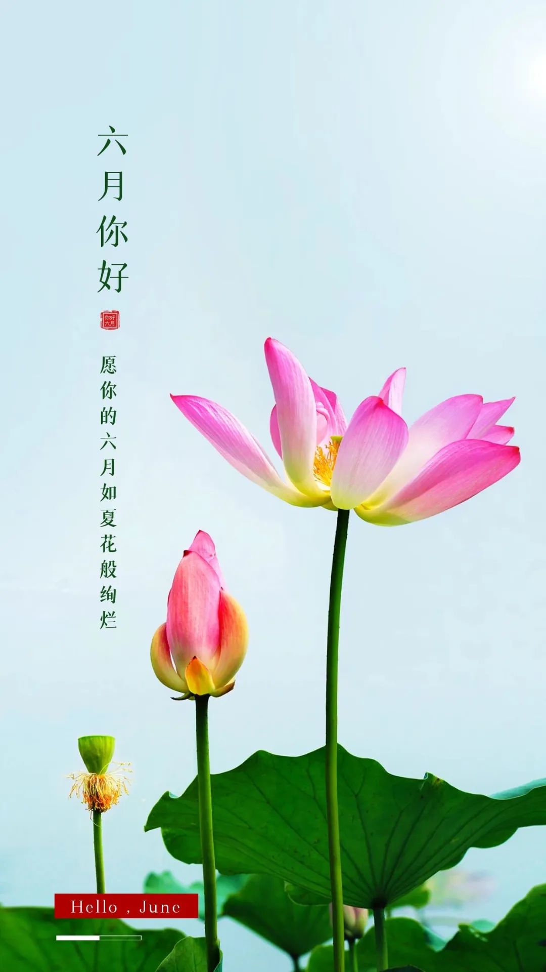 6月你好图片配图高清唯美简单带字，六月朋友圈抖音文案短句语录