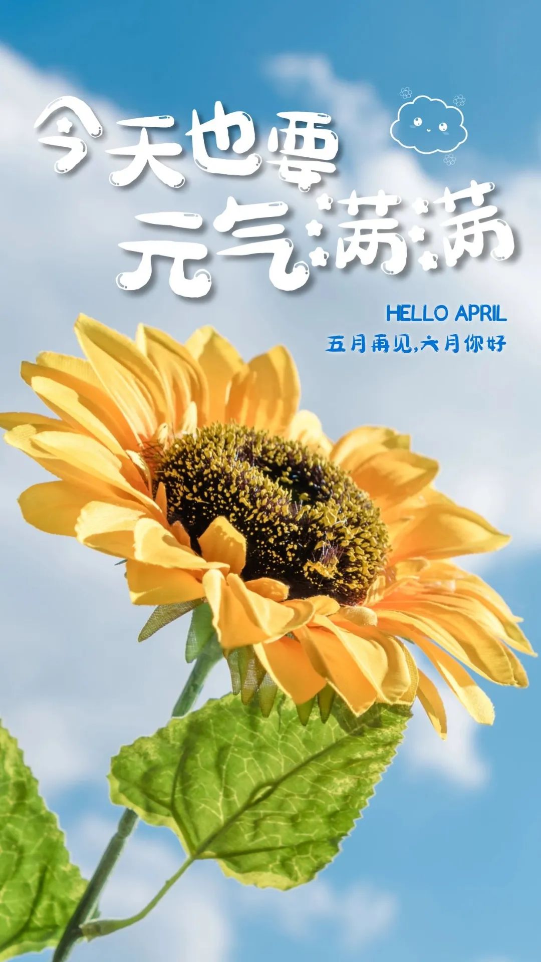 6月你好图片配图高清唯美简单带字，六月朋友圈抖音文案短句语录