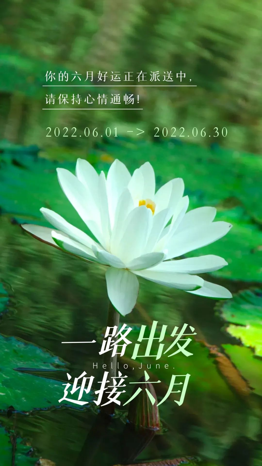 6月你好图片配图高清唯美简单带字，六月朋友圈抖音文案短句语录