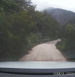 有意思的GIF:民警劝说半天不下来,直到特警出现……