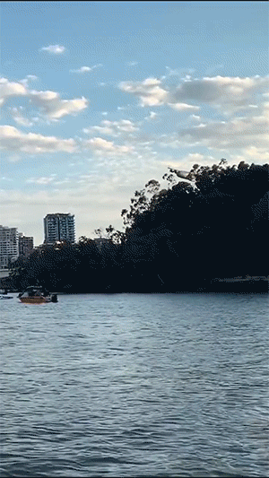 有意思的GIF:民警劝说半天不下来,直到特警出现……