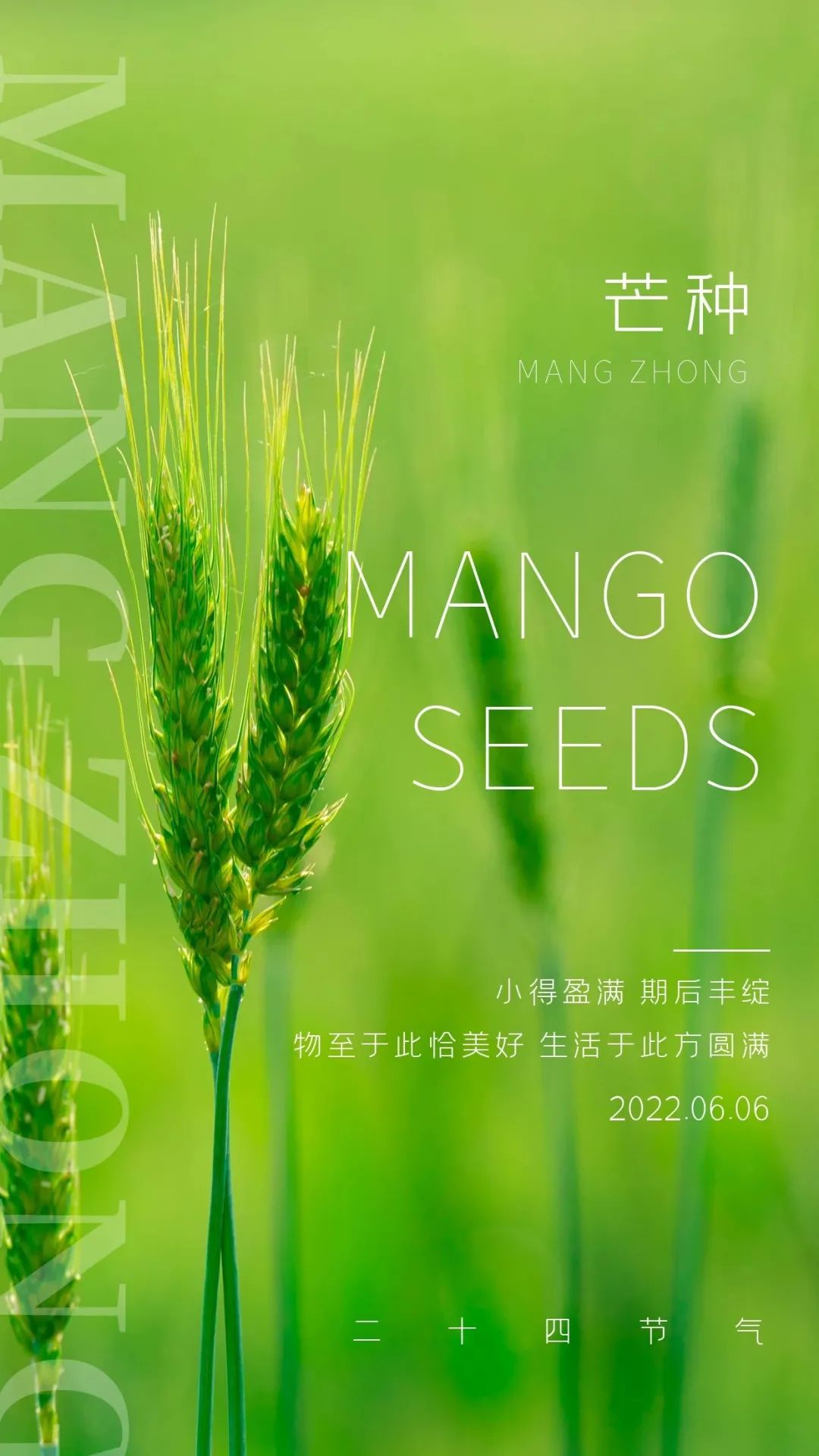 芒种吉祥语，芒种祝福问候图片，芒种快乐