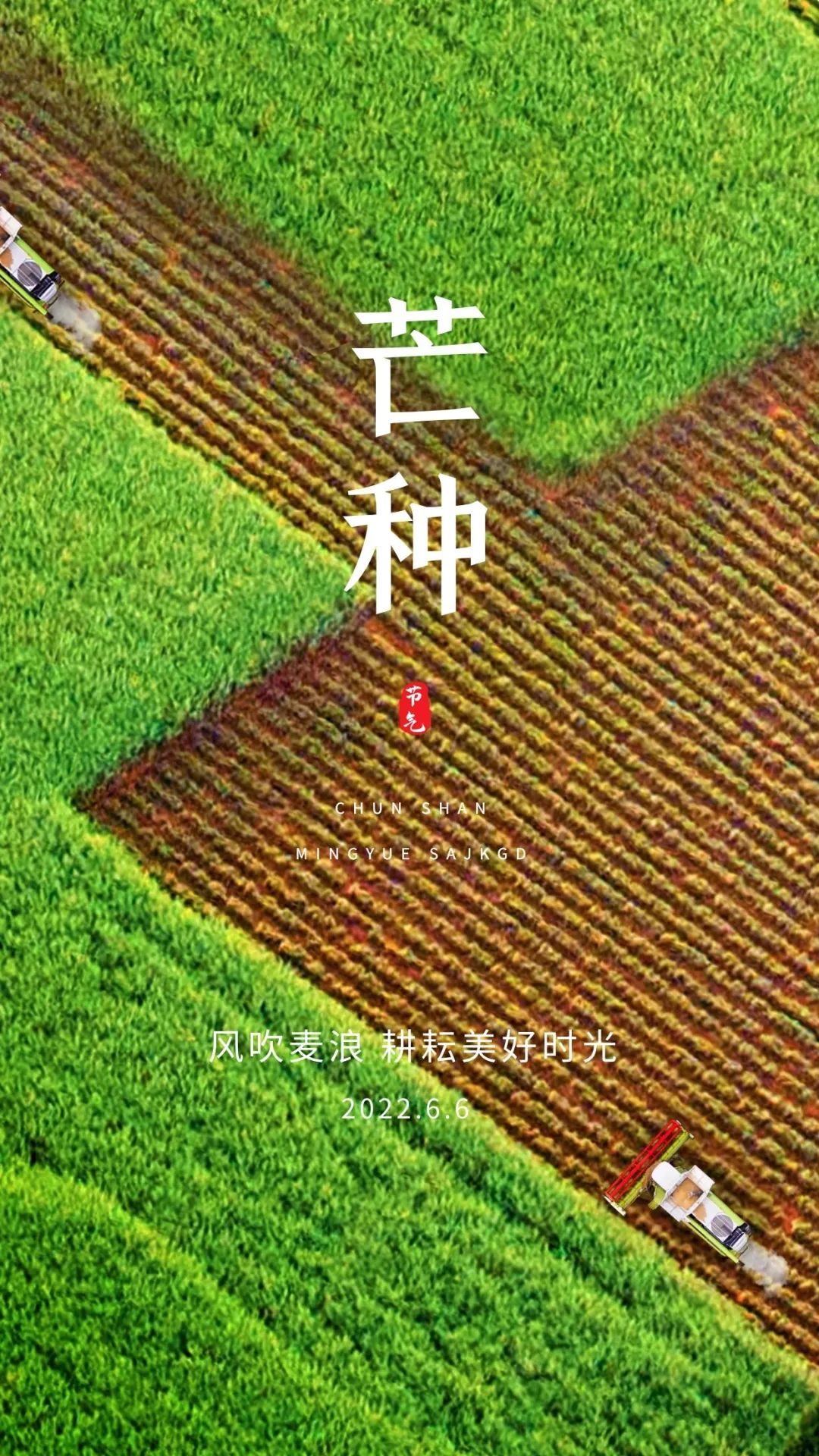 芒种吉祥语，芒种祝福问候图片，芒种快乐