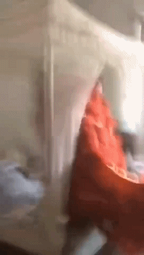 搞笑GIF：这反应能力可还行？