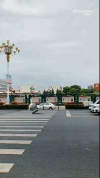 搞笑GIF：这反应能力可还行？
