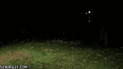 搞笑GIF：这反应能力可还行？