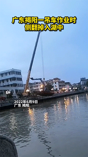 欢乐的GIF动图：狗子都比我快乐...