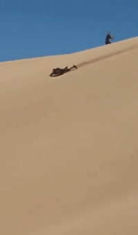 爆笑GIF：让你得瑟！让你得瑟！