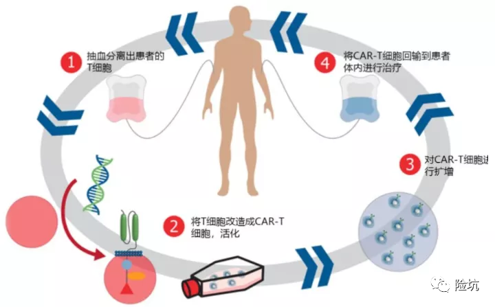 最近超火的CAR-T权益卡，某些人，拜托你不要侮辱我的智商！