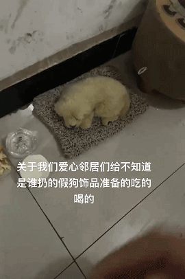 爆笑的GIF动图：这次非跟你拼个不是你断，就是我断